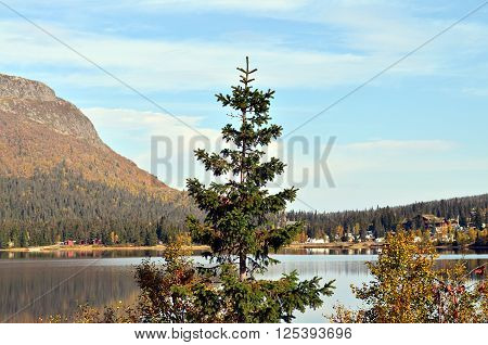 Sunny Day In South Norway At A Lake