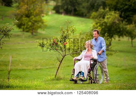 Senior man pushing woman sitting in wheelchair oustide in green autumn nature