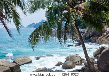 Kalim beach in Phuket with rocks sea and coconut palms