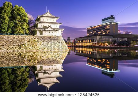 Nagoya, Japan castle moat at twilight.