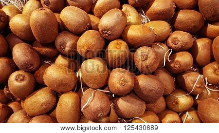Kiwi fruits in a box filled with raffia