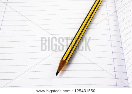 a pencil on white page of a notebook