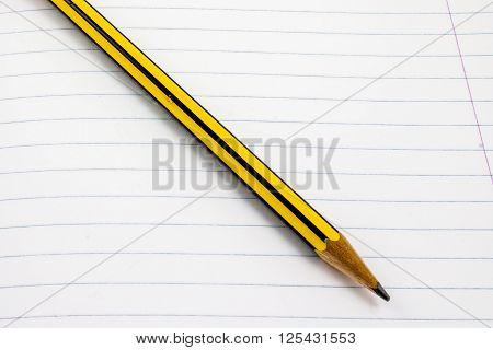 a pencil on white page of a notebook
