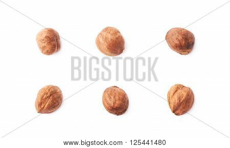 Mulitple single hazelnut nuts isolated over the white background, set of six images