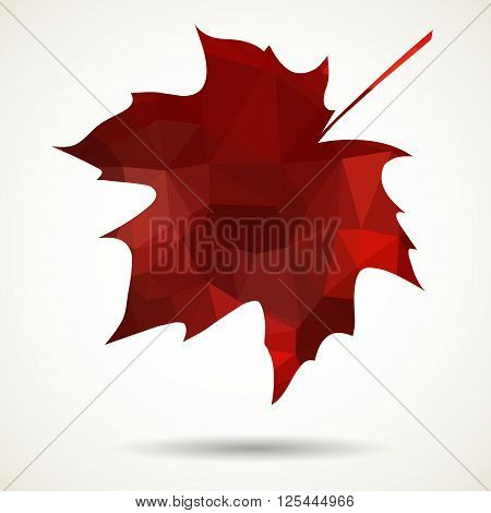 Maole leaf in triangular style with dropped shadow.