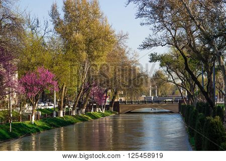 River in the centre of the Tashkent Uzbekistan. Spring in Tashkent