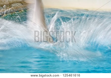 Abstract background blur with a dolphin and blue water
