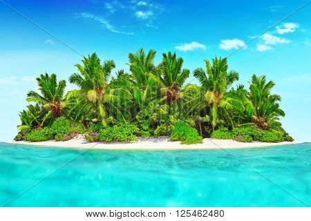 Whole Tropical Island Within Atoll In Tropical Ocean.