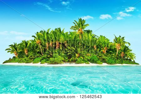 Whole Tropical Island Within Atoll In Tropical Ocean.
