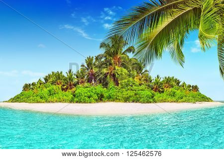 Whole Tropical Island Within Atoll In Tropical Ocean.
