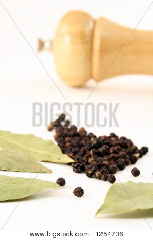 Mausteet