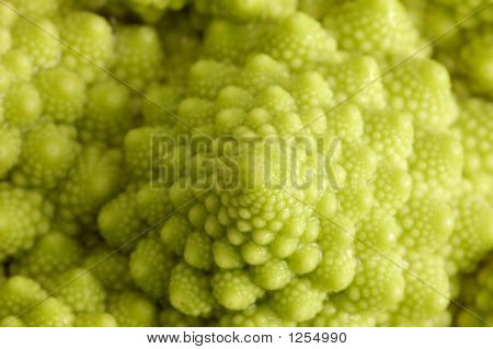Romanesco