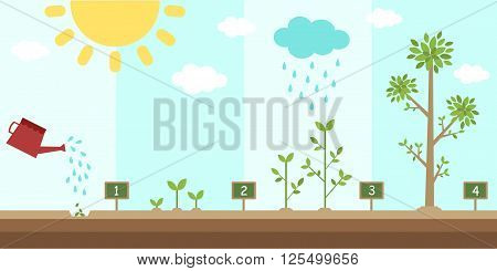 flat background of planting tree process step