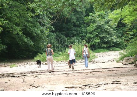 Walking Dogs