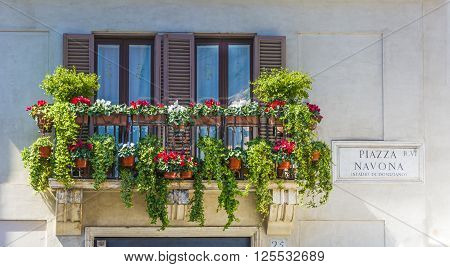 balcony with flowers in piazza navona rome
** Note: Soft Focus at 100%, best at smaller sizes