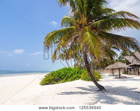 One of the beaches in Paje Zanzibar Tanzania.