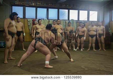 Tokyo, Japan - December 21, 2014: Japanese sumo wrestler training in their stall in Ryogoku district.