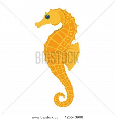 Seahorse vector illustration isolated on white background
