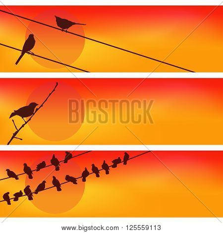 Birds against the sunset. Three Colorful Vectors.