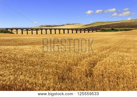 Summer rural landscape: railway bridge on the wheat field.Apulia.ITALY.Hilly landscape with a golden wheat field crossed by a railway bridge.