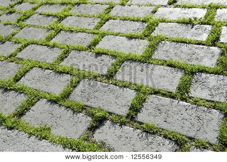 เส้นทางหิน