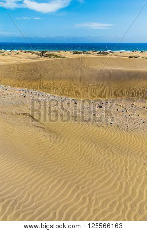 Maspalomas Sand Dunes During Sunny Day - Maspalomas Gran Canaria Canary Islands Spain