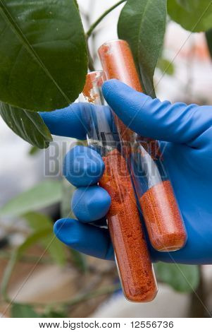 ป้องกันของพืช