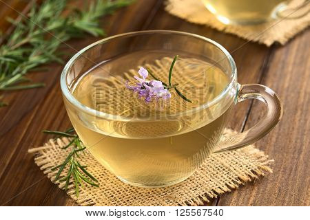 Freshly prepared rosemary herbal tea in glass cup garnished with rosemary flower photographed on dark wood with natural light (Selective Focus Focus on the first flowers)