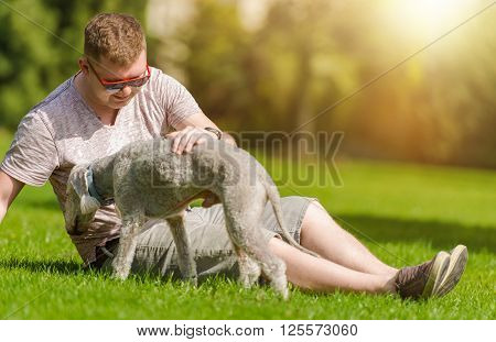 Men Playing with His Bedlington Terrier Dog in the Park During Summer Day. Dog Man's Best Friend.