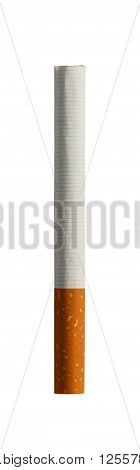photography in the studio of a cigarette upright on white background