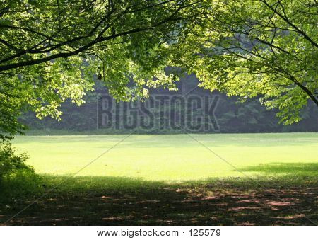 Meadow Vista