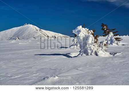 Spruce and tourist hostel on top of ?nie?ka in the Giant Mountains in Poland