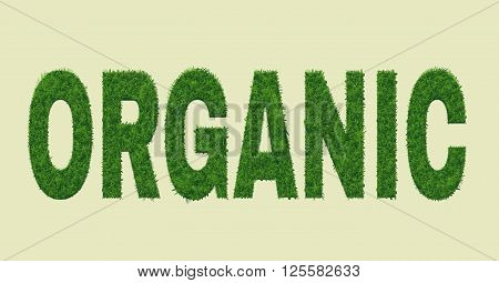 Ecology nature design. The word 
