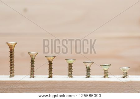 Screws screwed to different depths in the board. Fasteners.