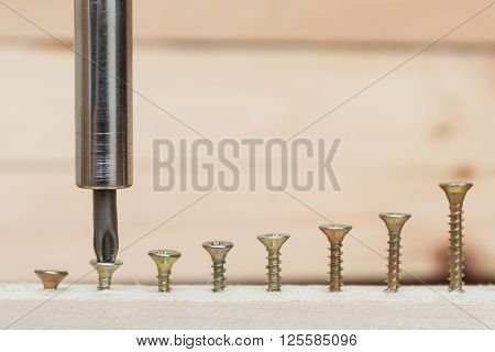 Screws screwed to different depths in the board. Fasteners.