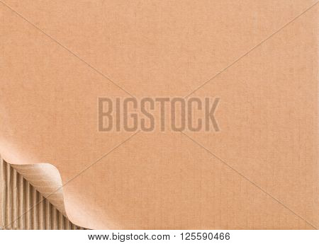 Corrugated cardboard with curled border of top layer