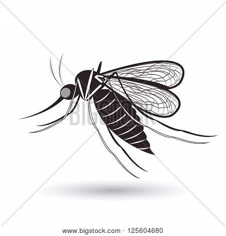infectious gnat design, vector illustration eps10 graphic