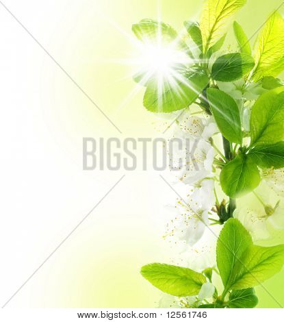 Fronteira de Primavera