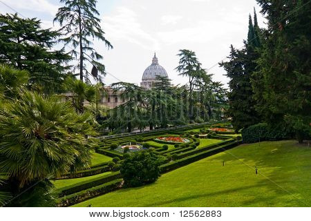 View At The St Peter's Basillica