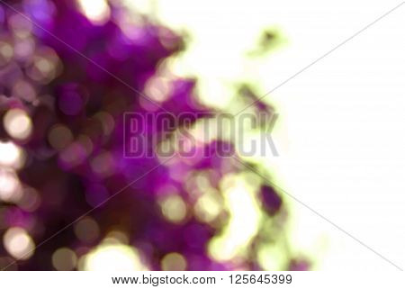 Abstract lilak background with natural bokeh color