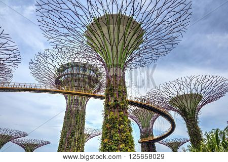 Beautiful Singapore Gardens By The Bay