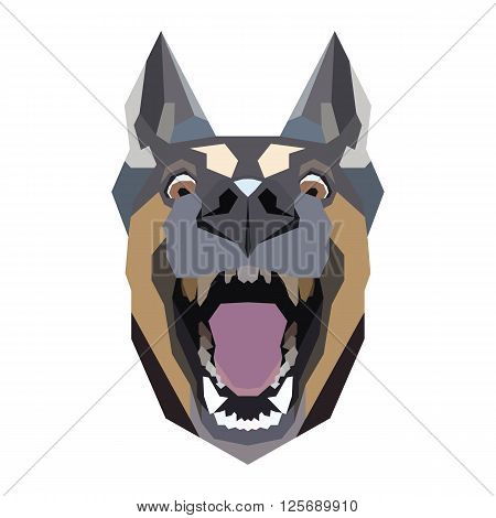 Dog on a white background. Vector illustration.