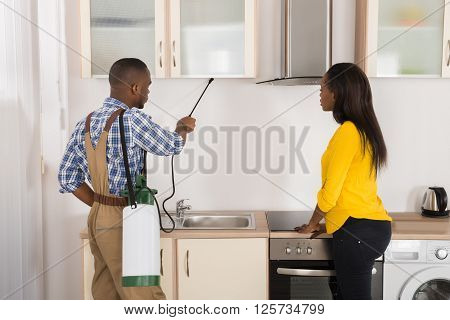 Male Worker Spraying Insecticide