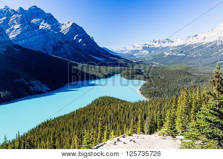 Peyto Lake, Banff National Park, Rocky Mountains, Alberta, Canada