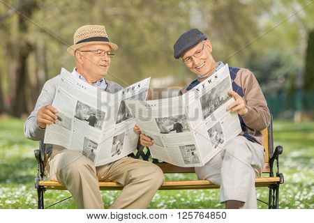 Senior gentleman showing something in the newspaper to a friend seated on a wooden bench in a park