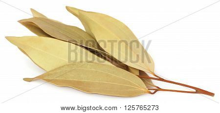 Close up of cassia leaves over white background