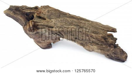 Close up of bogwood over white background