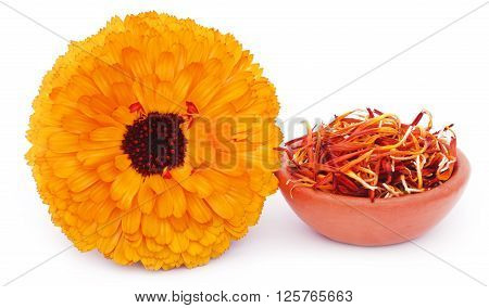 Close up of calendula over white background