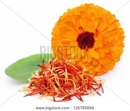 Closeup of calendula with green leaf over white background