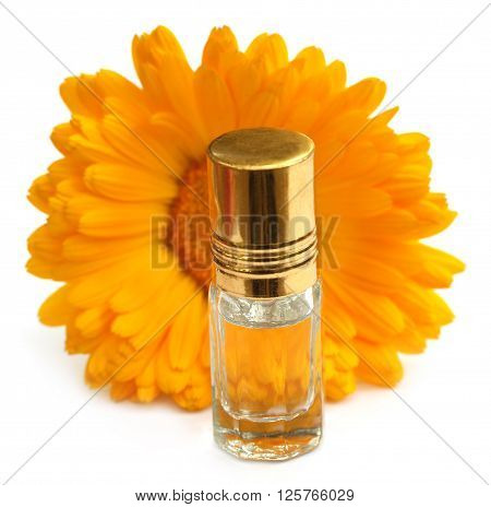 Closeup of calendula with essence bottle over white background
